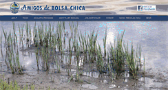 Desktop Screenshot of amigosdebolsachica.org
