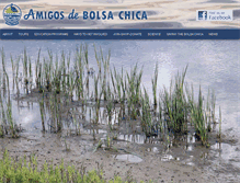Tablet Screenshot of amigosdebolsachica.org